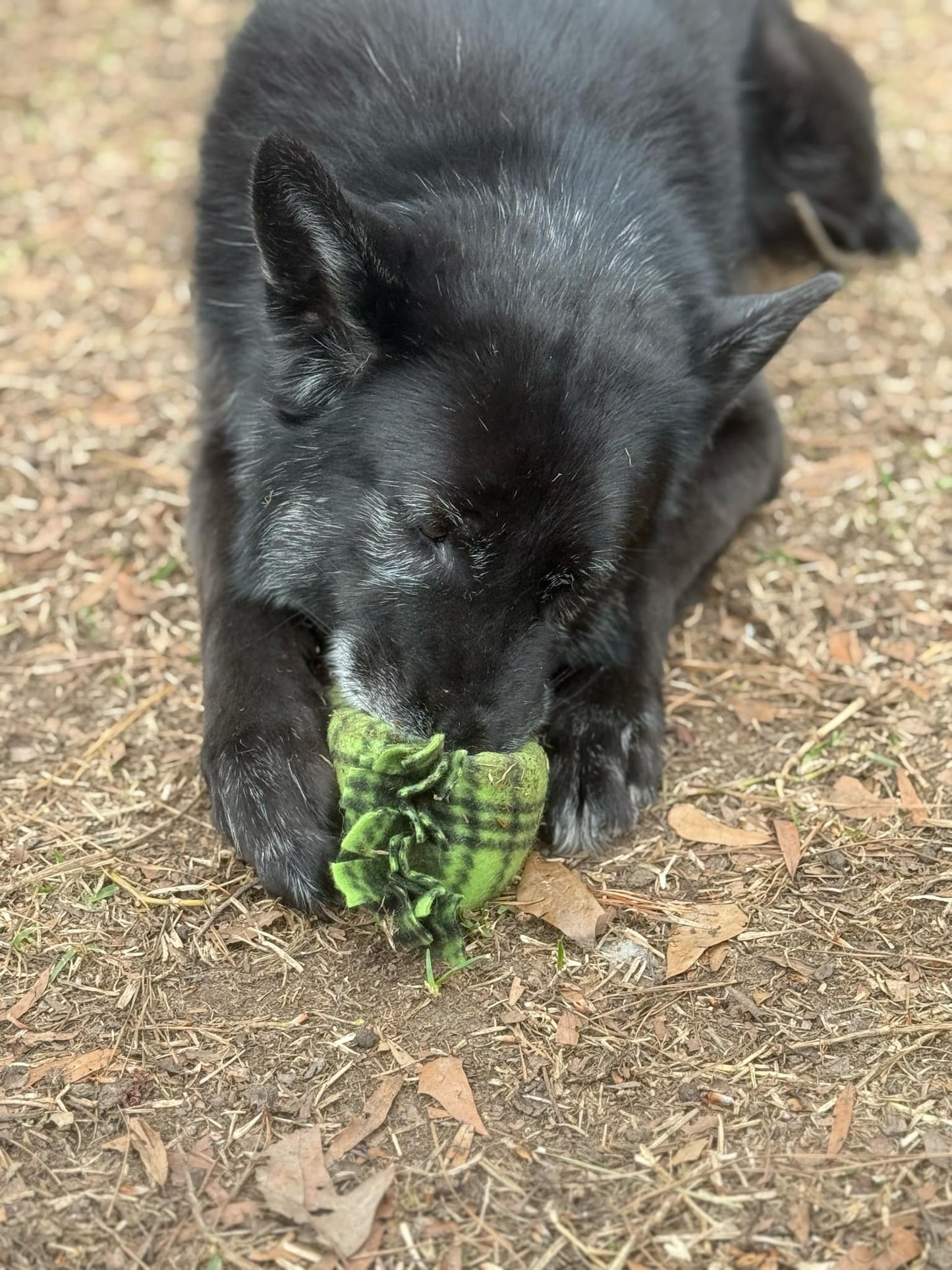 Tangled Terrier "food baby" Snuffle and Training Toy