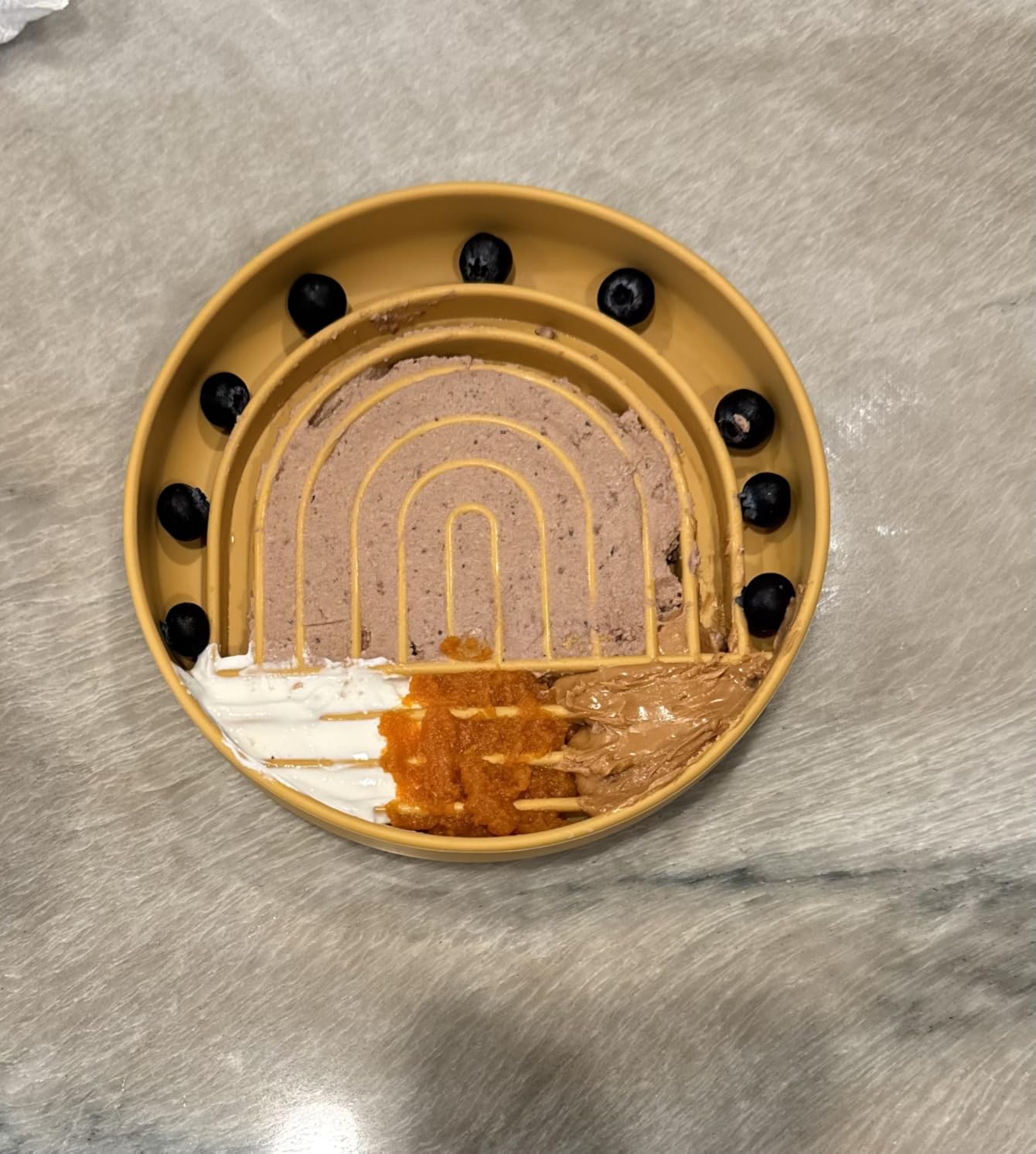 Rainbow Slow Feeder & FREE COOKIE