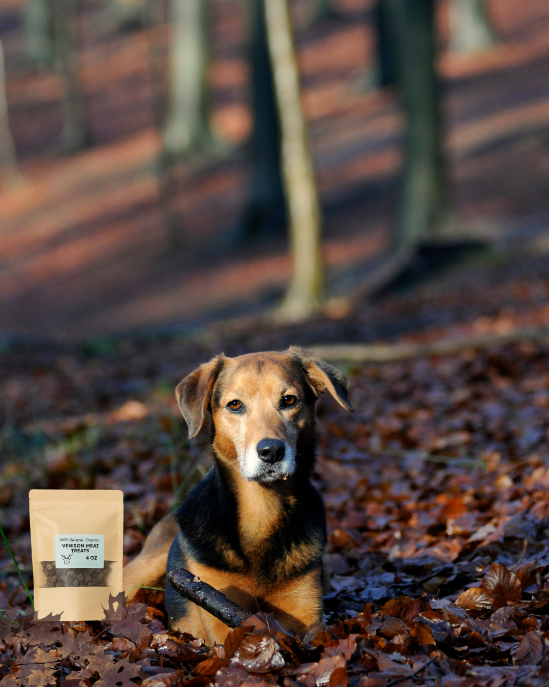 100% Natural & Organic Venison Training Treats (4oz)
