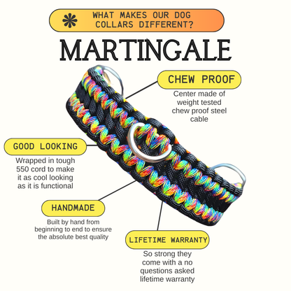 Martingale Dog Collar Color Set Two