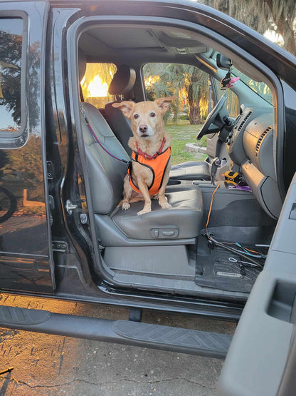 Car Restraint System