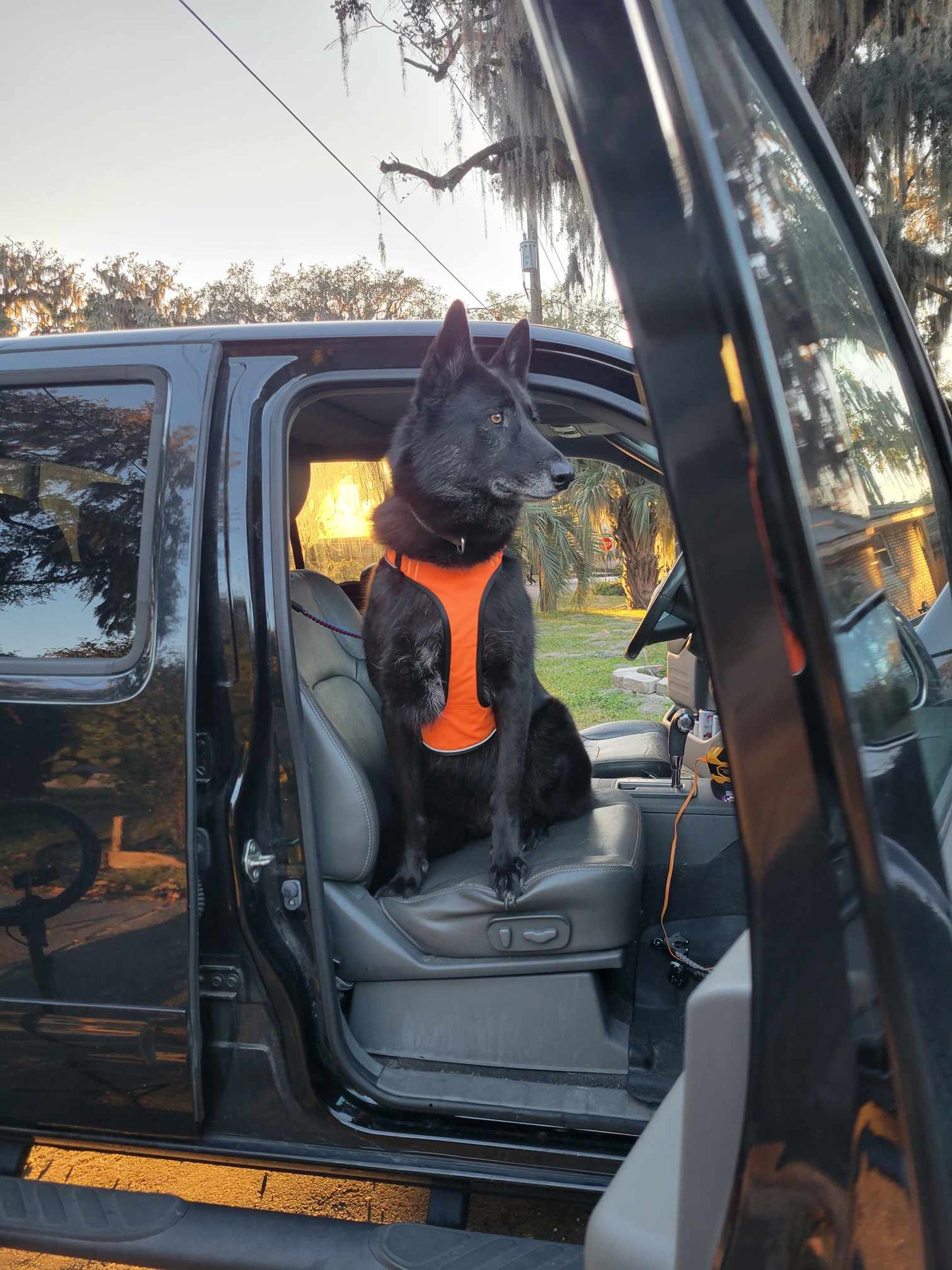 Car Restraint System