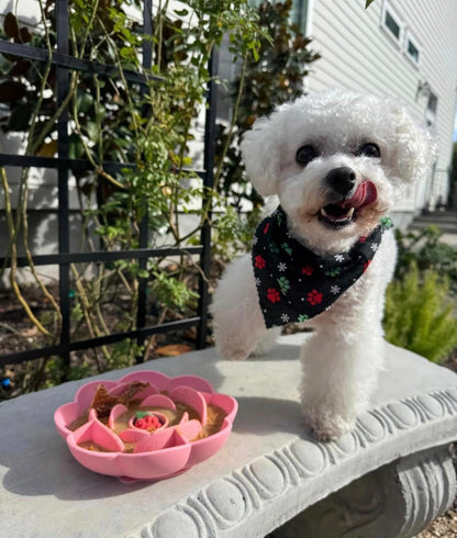 Floral Silicone Slow Feeder