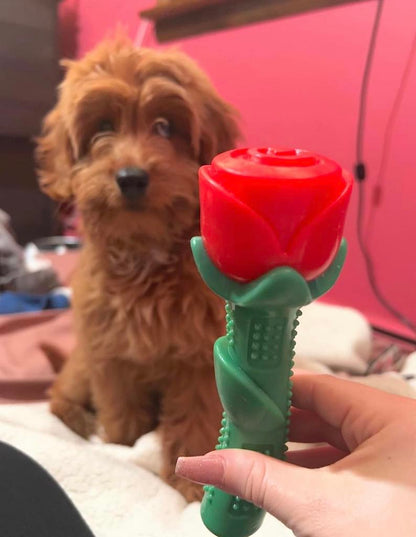 Red Rose Super Chewer Toy