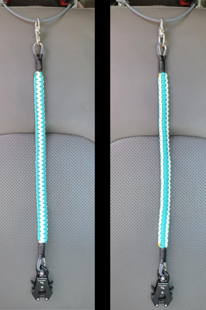 Car Restraint System