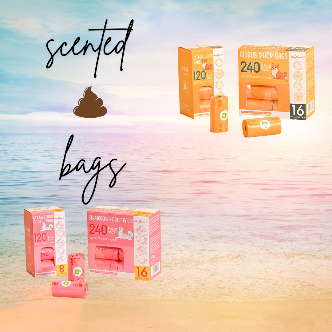 Duradogs Summer Box ⛱️