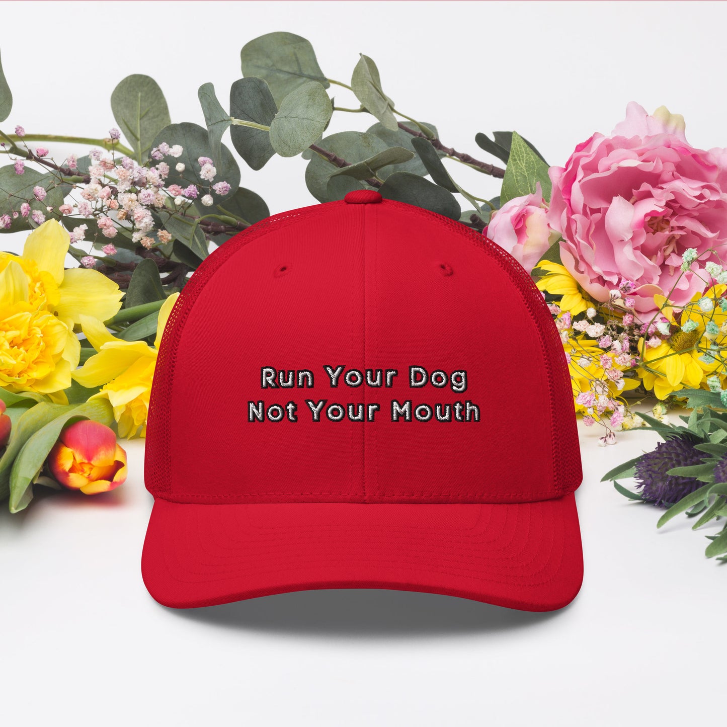 Run Your Dog Not Your Mouth Ballcap